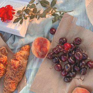 Spring picnic wallpaper