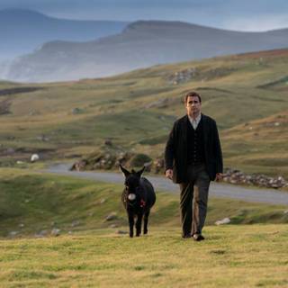 The Banshees of Inisherin wallpaper