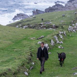 The Banshees of Inisherin wallpaper