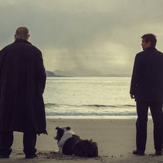 The Banshees of Inisherin wallpaper