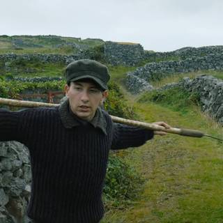 The Banshees of Inisherin wallpaper