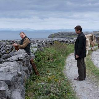 The Banshees of Inisherin wallpaper