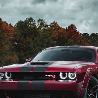 Dodge Challenger SRT Hellcat widebody wallpaper