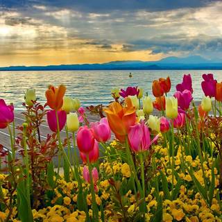 Springtime computer wallpaper