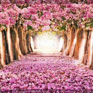 Springtime computer wallpaper