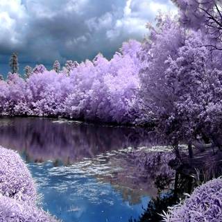 Springtime computer wallpaper