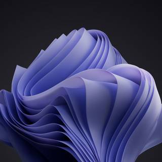 Windows 11 2023 wallpaper