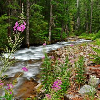 Springtime computer wallpaper