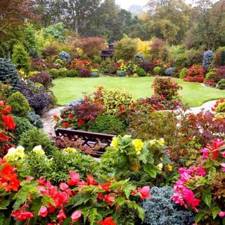 Springtime forest computer wallpaper