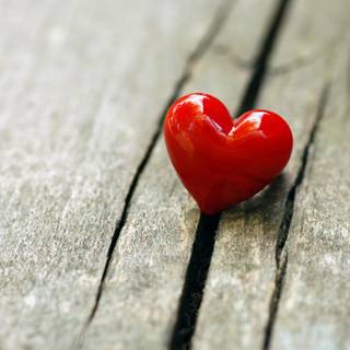 14 Feb Valentine wallpaper