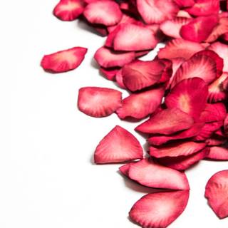 Valentines plain wallpaper