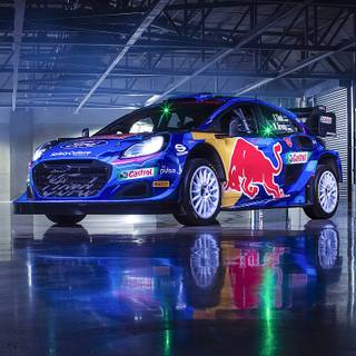 WRC 2023 Rally wallpaper