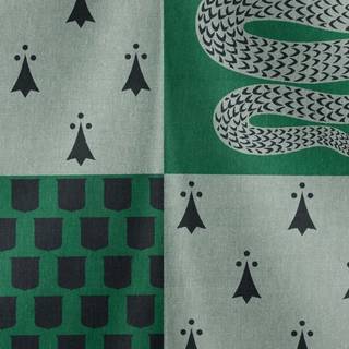 Slytherin iPhone HD wallpaper