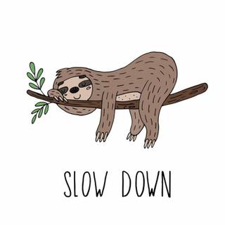 Cartoon sloth mobile HD wallpaper