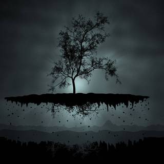 Aesthetic dark trees wallpaper
