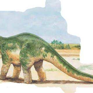 Apatosaurus wallpaper