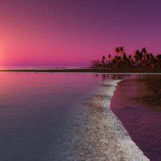 Purple summer wallpaper