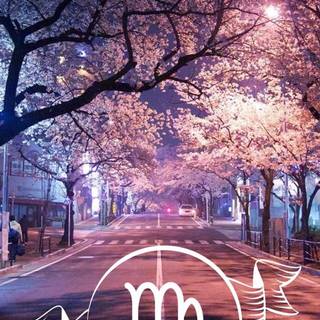 Virgo purple wallpaper