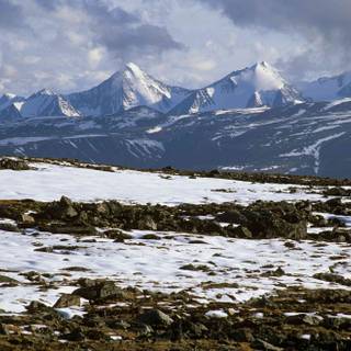 Tundra Biomes wallpaper