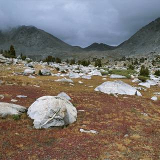 Tundra Biomes wallpaper