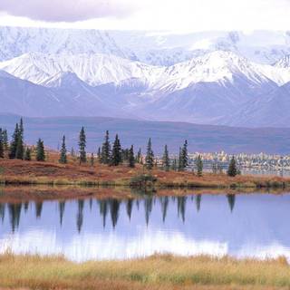 Tundra Biomes wallpaper