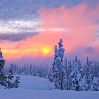 Tundra Biomes wallpaper