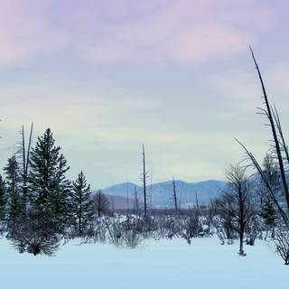 Tundra Biomes wallpaper