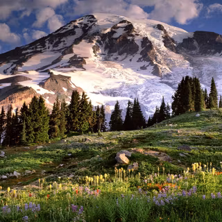 Tundra Biomes wallpaper