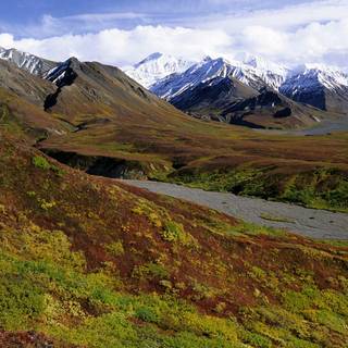 Tundra Biomes wallpaper