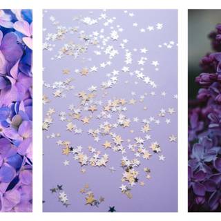Spring aesthetic purple wallpaper