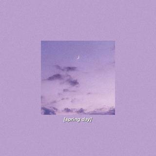 Aesthetic purple spring wallpaper
