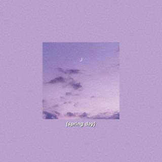 Spring aesthetic purple wallpaper
