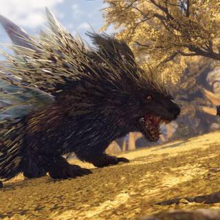 WILD HEARTS™ Standard Edition wallpaper