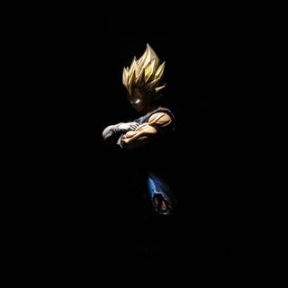 Evil Vegeta wallpaper