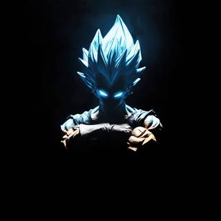 Evil Vegeta wallpaper