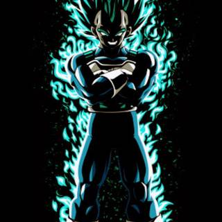 Evil Vegeta wallpaper