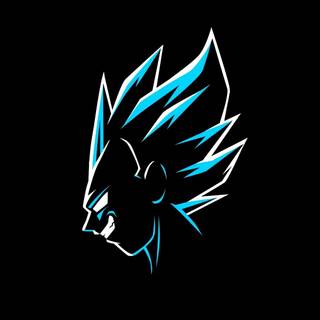 Evil Vegeta wallpaper