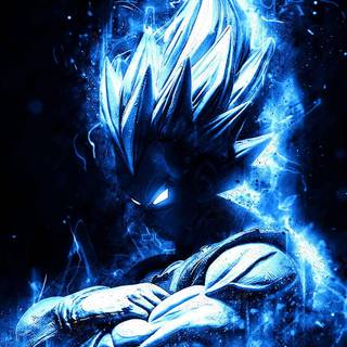 Evil Vegeta wallpaper