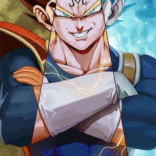 Evil Vegeta wallpaper