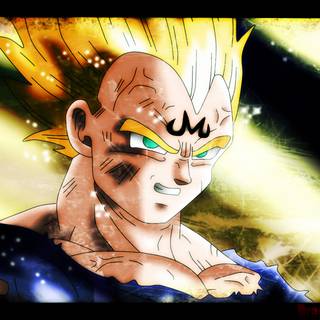 Evil Vegeta wallpaper