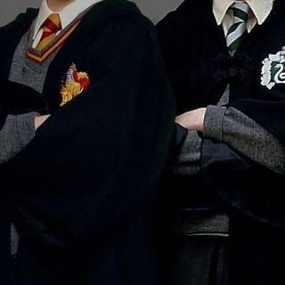 Harry and Draco wallpaper