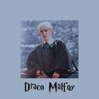 Harry and Draco wallpaper