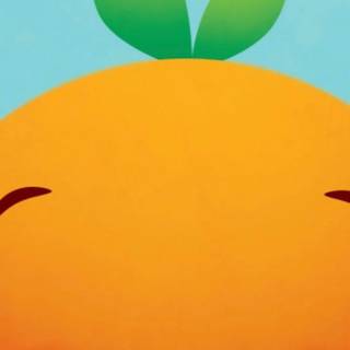 Orange bird wallpaper