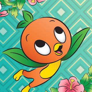Orange bird wallpaper