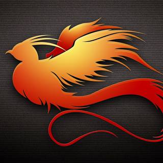 Orange bird wallpaper