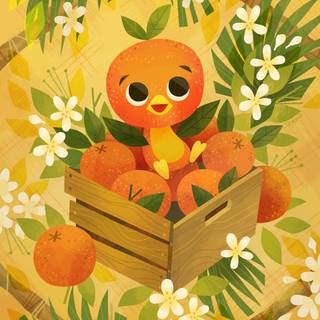 Orange bird wallpaper