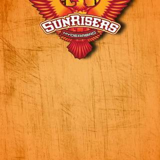 Orange bird wallpaper