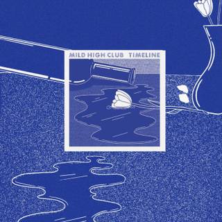 Mild High Club wallpaper