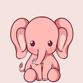 Elephant iPhone wallpaper