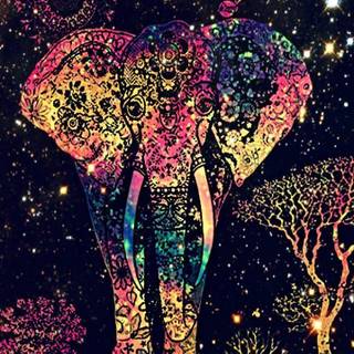 Elephant iPhone wallpaper